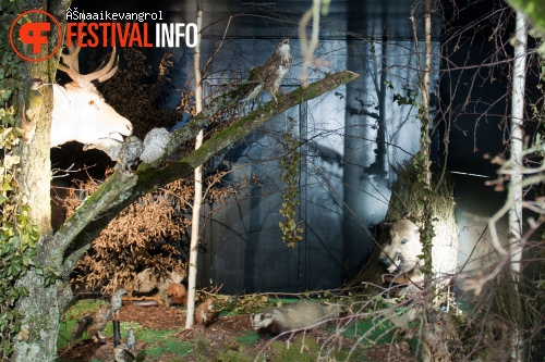 Deep In The Woods 2011 foto
