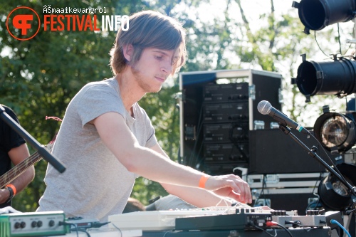 Deep In The Woods 2011 foto