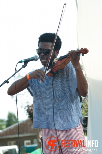 Deep In The Woods 2011 foto