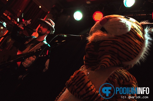 Paper Tiger op Wouter Hamel - 08/10 - Metropool foto