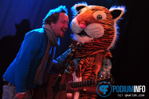 Paper Tiger op Wouter Hamel - 08/10 - Metropool foto