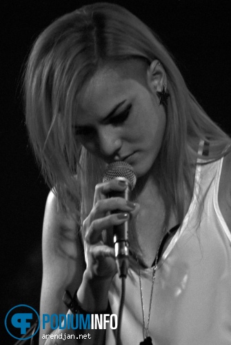 Ming's Pretty Heroes op Saybia - 1/11 - Tivoli foto