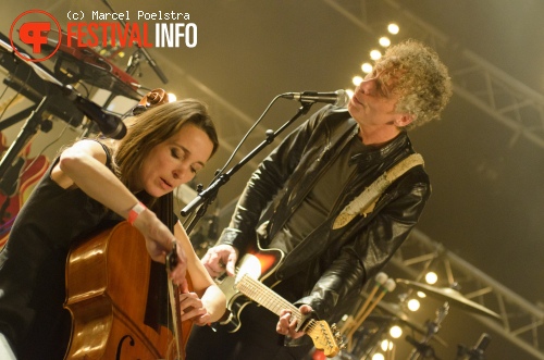 Spinvis op Eurosonic Noorderslag 2012 foto