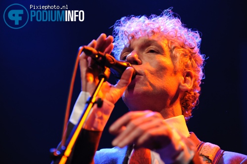 Spinvis op Spinvis - 17/2 - Paard van Troje foto