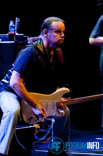 Walter Trout op Walter Trout - 2/3 - Paradiso foto