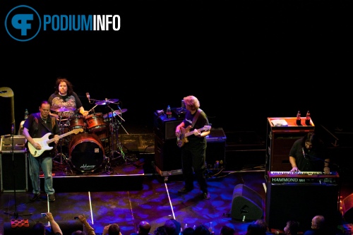 Foto Walter Trout op Walter Trout - 2/3 - Paradiso
