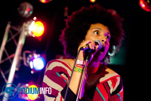 PLeaSe! op PleaSe! - 14/4 - Tivoli foto