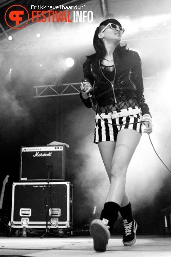 Sonic Boom Six op Bevrijdingsfestival Overijssel 2012 foto