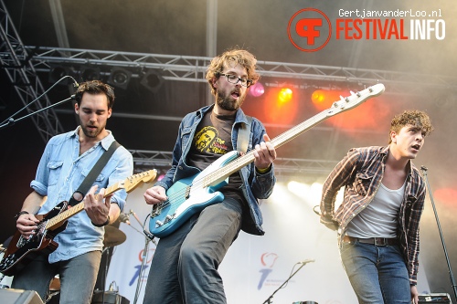 The Medics op Bevrijdingsfestival Den Haag 2012 foto