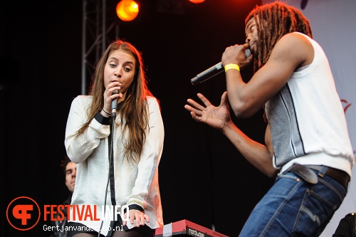 Bevrijdingsfestival Den Haag 2012 foto