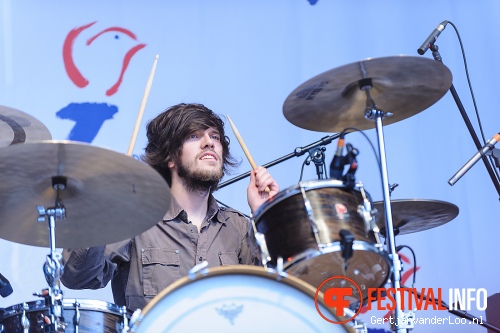 Bevrijdingsfestival Den Haag 2012 foto