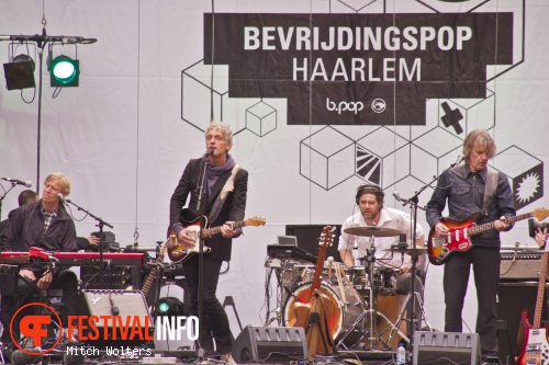 Spinvis op Bevrijdingspop Haarlem 2012 foto