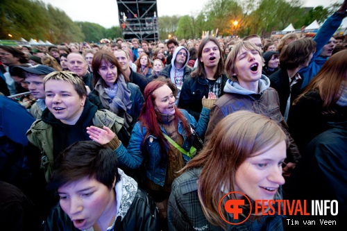 Bevrijdingsfestival Utrecht foto