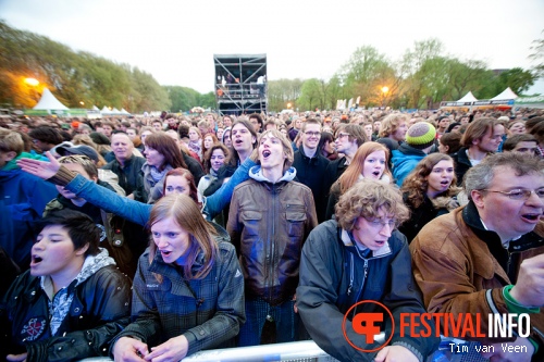 Bevrijdingsfestival Utrecht foto