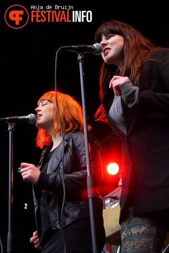 Splendid op Bevrijdingsfestival Zuid Holland 2012 foto