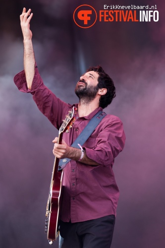 Babylon Circus op Pinkpop 2012 - Zondag foto