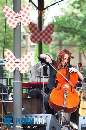 Spinvis op ZOOmeravond: Spinvis - 9/6 - Artis foto