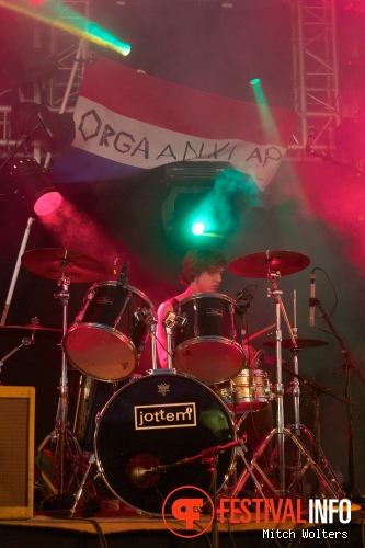Foto Orgaanklap op Beeckestijn Pop 2012