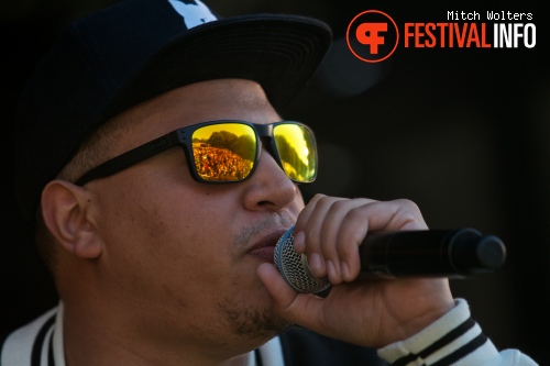 Beeckestijn Pop 2012 foto
