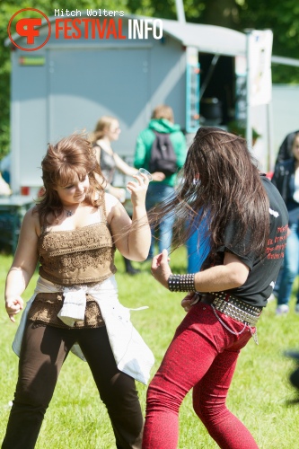 Beeckestijn Pop 2012 foto