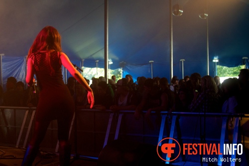Beeckestijn Pop 2012 foto