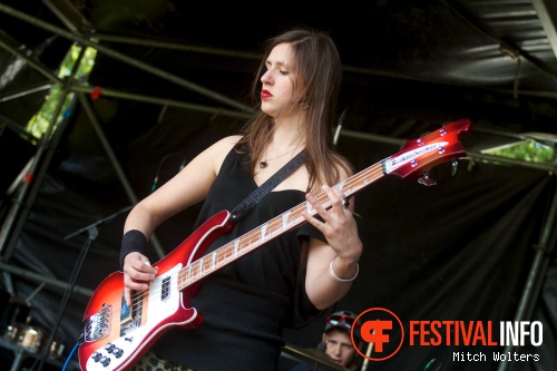 Master of Apes op Beeckestijn Pop 2012 foto