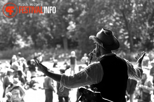 Beeckestijn Pop 2012 foto