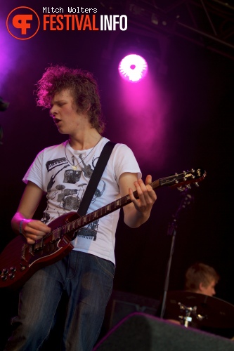 Beeckestijn Pop 2012 foto