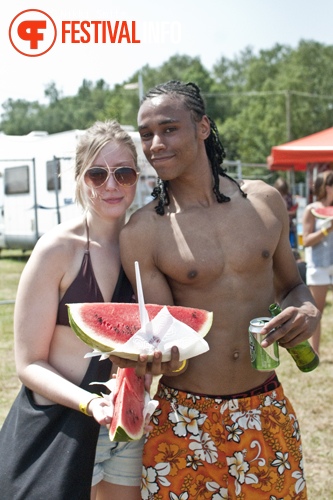 Eurockéennes 2012 foto