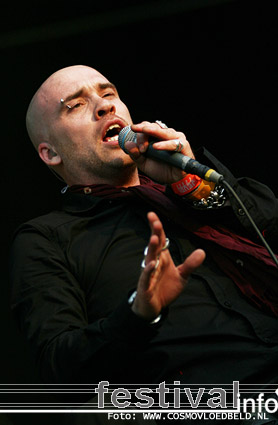 Foto Infadels op Dour 2006