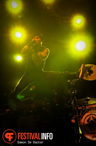 Heideroosjes op Rock Zottegem 2012 foto