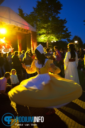 Zeven Pleinen Festijn: Ali B. - 11/8 - Efteling foto