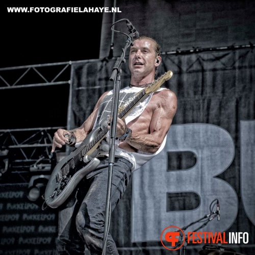 Bush op Pukkelpop 2012 foto