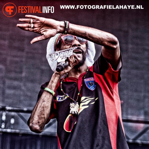 Snoop Dogg op Pukkelpop 2012 foto