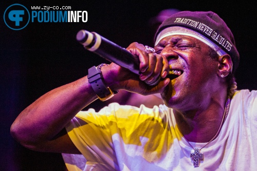 Public Enemy op Public Enemy - 22/8 - Tivoli foto