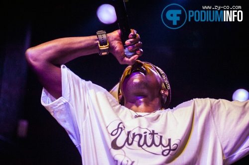 Public Enemy op Public Enemy - 22/8 - Tivoli foto