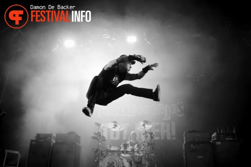 Heideroosjes op Crammerock 2012 foto