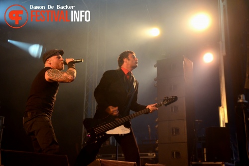 Heideroosjes op Crammerock 2012 foto