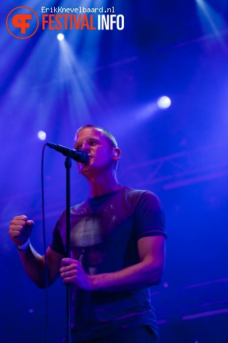 Racoon op Appelpop 2012 foto