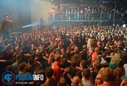 Heideroosjes op Heideroosjes - 22/9 - Melkweg foto