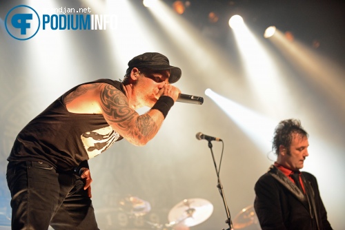 Heideroosjes op Heideroosjes - 22/9 - Melkweg foto