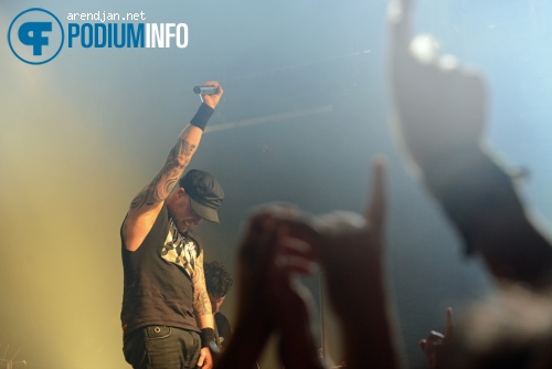 Heideroosjes op Heideroosjes - 22/9 - Melkweg foto