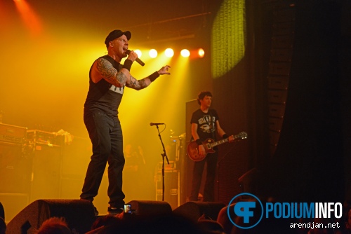 Foto Heideroosjes op Heideroosjes - 22/9 - Melkweg