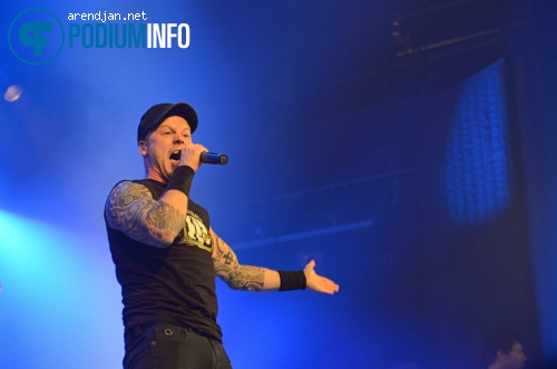 Heideroosjes op Heideroosjes - 22/9 - Melkweg foto
