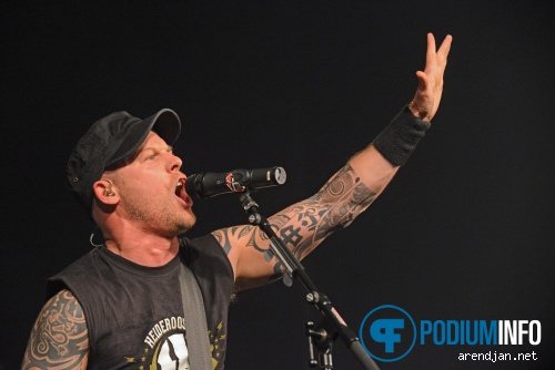 Heideroosjes op Heideroosjes - 22/9 - Melkweg foto
