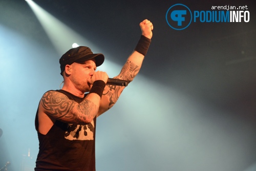 Heideroosjes op Heideroosjes - 22/9 - Melkweg foto
