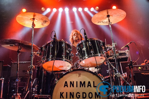 Animal Kingdom op Maximo Park - 25/10 - Tivoli foto