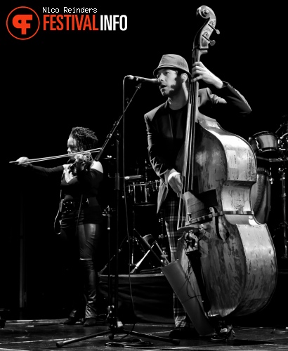 Regina Carter op Joe Jackson - 2/11 - Melkweg foto