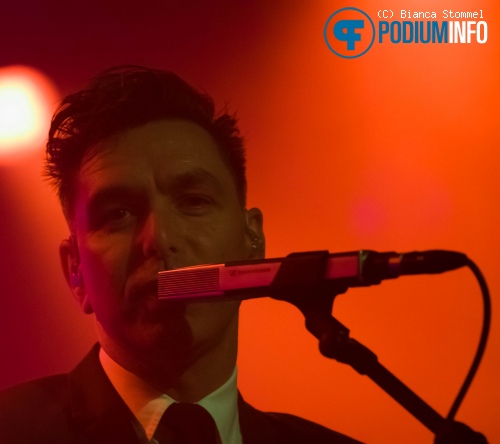 Moke op Moke - 15/11 - Effenaar foto