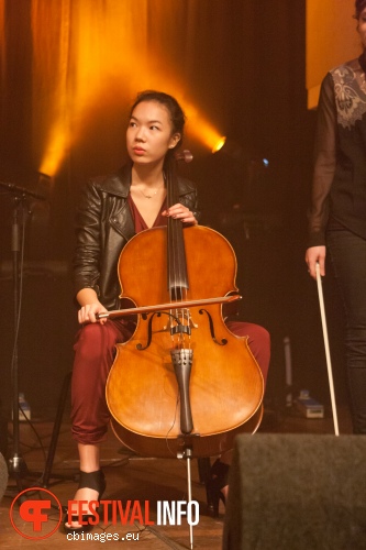 Roo Panes op Songbird Festival 2012 foto